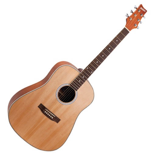Ashton Dreadnought Acoustic Wards Music